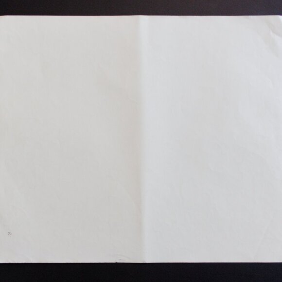 A LOAD OF FUEL - ZUÑI  #70 Edward Sheriff Curtis Print - Picture 13 of 15